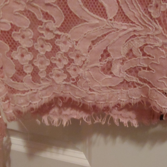 Sheer lace crop top - Picture 4 of 4